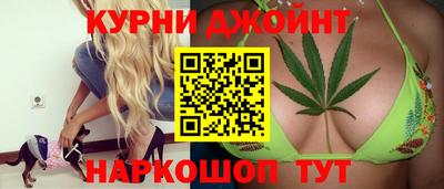 мяу мяу мука Ачхой-Мартан