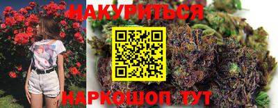 мяу мяу мука Ачхой-Мартан