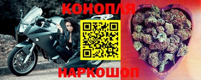 мяу мяу мука Ачхой-Мартан