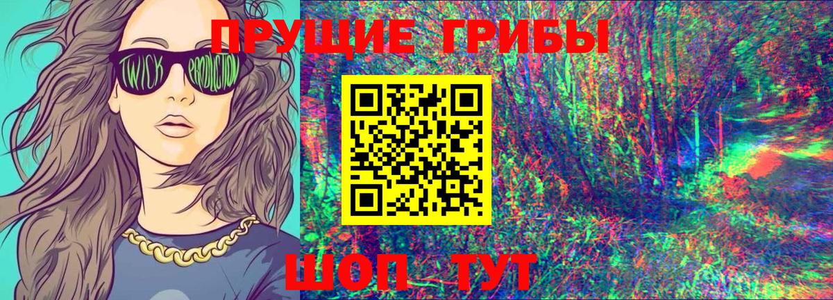 Галлюциногенные грибы Psilocybine cubensis Ангарск