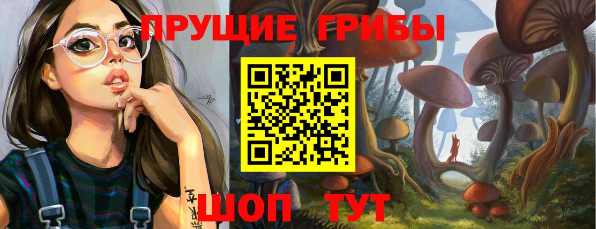 Псилоцибиновые грибы Psilocybe  Вход с VPN  Ангарск 